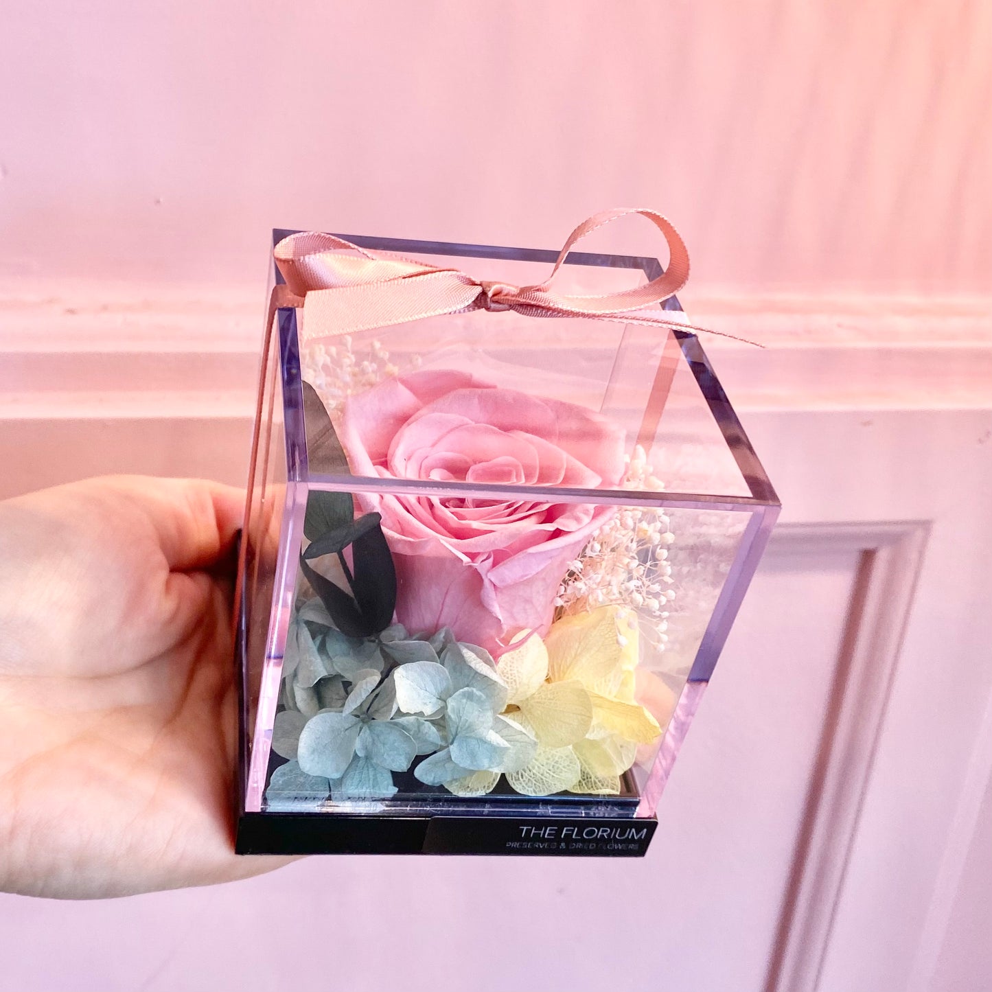 Eternal Archive - Sweet Pink