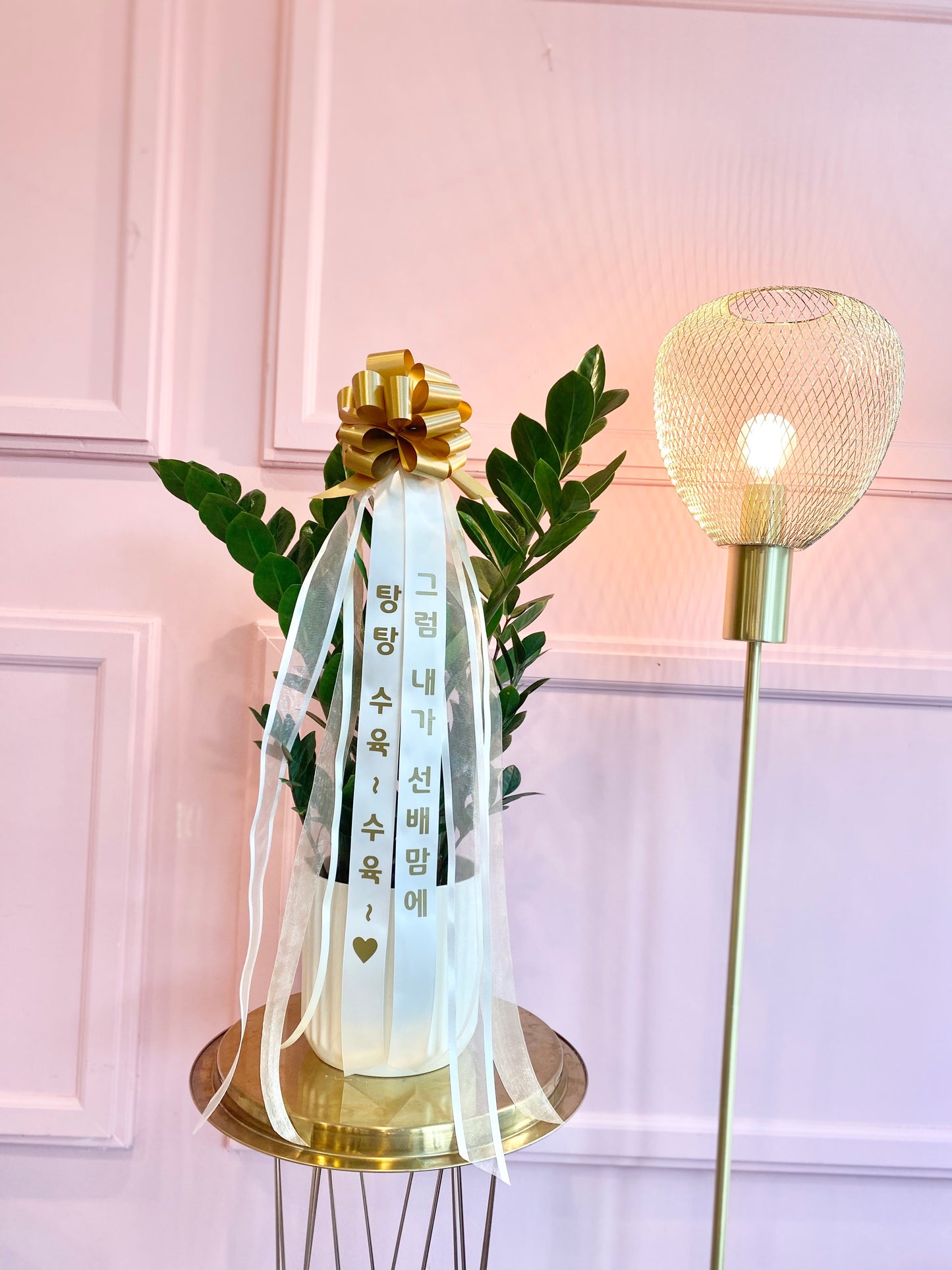 ZZ Plant with Message Ribbon | Grand Opening Gift Toronto