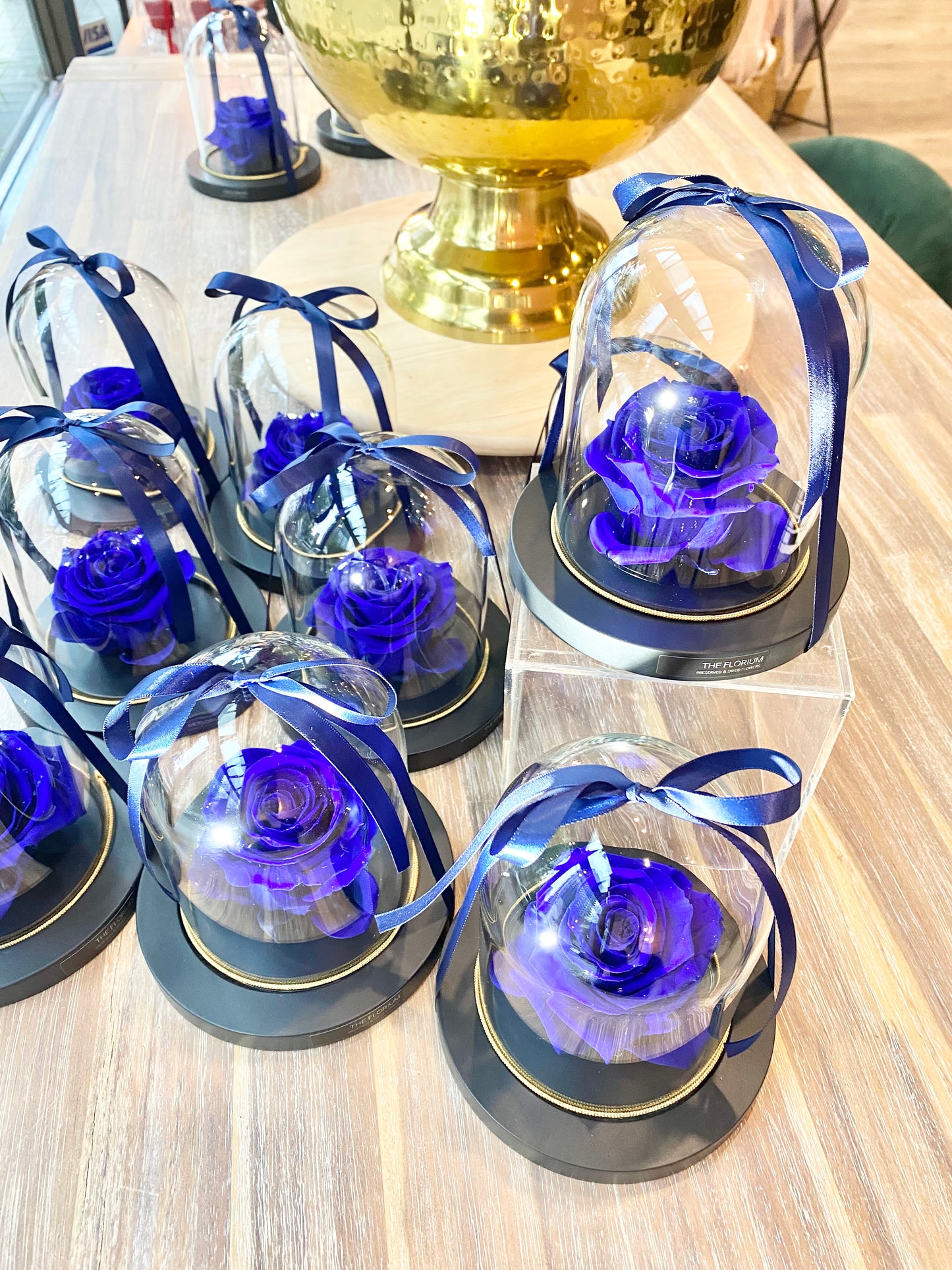 Preserved Rose Dome- Royal Blue 💙