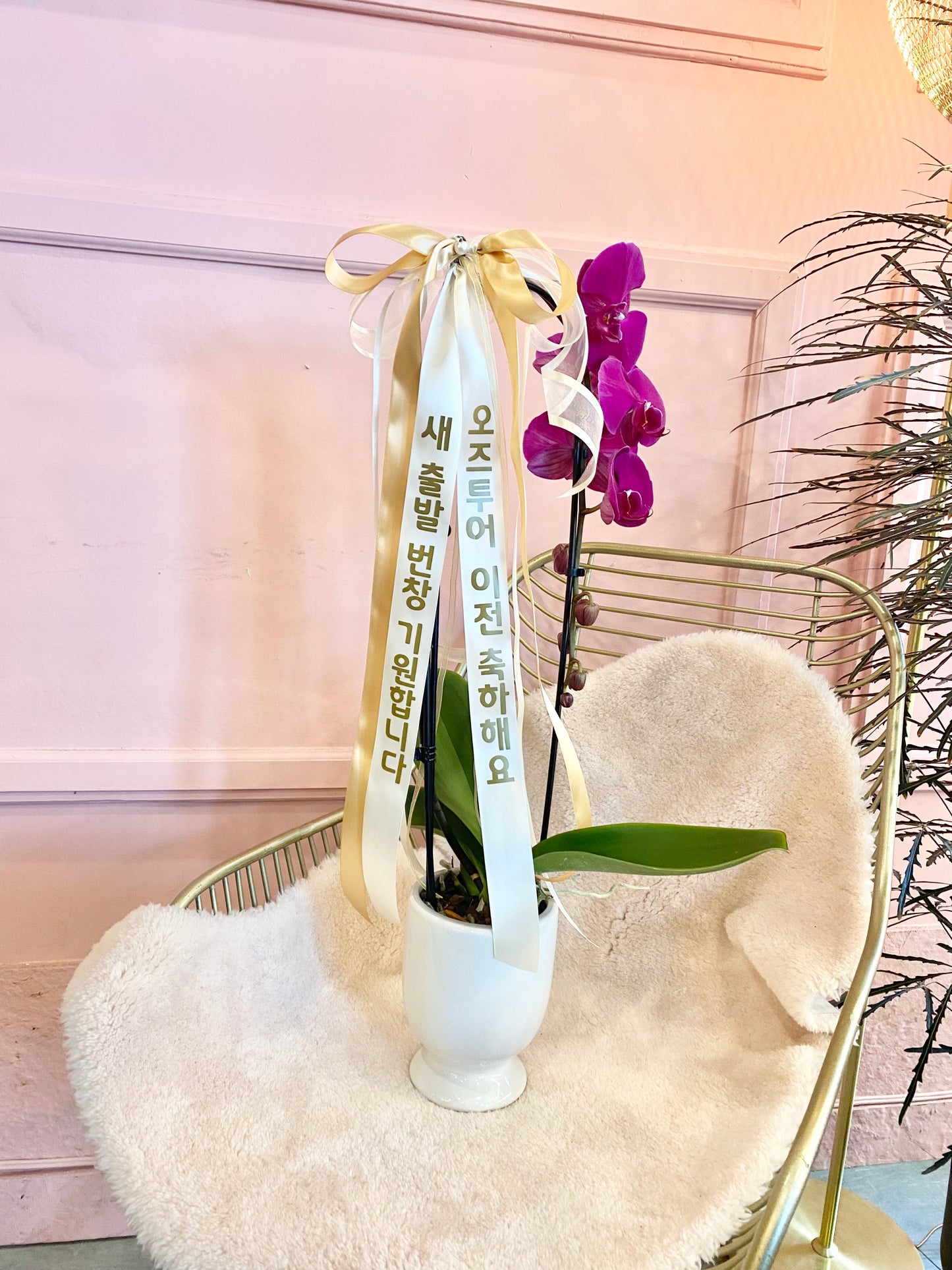 Message Ribbon | Customized Ribbon