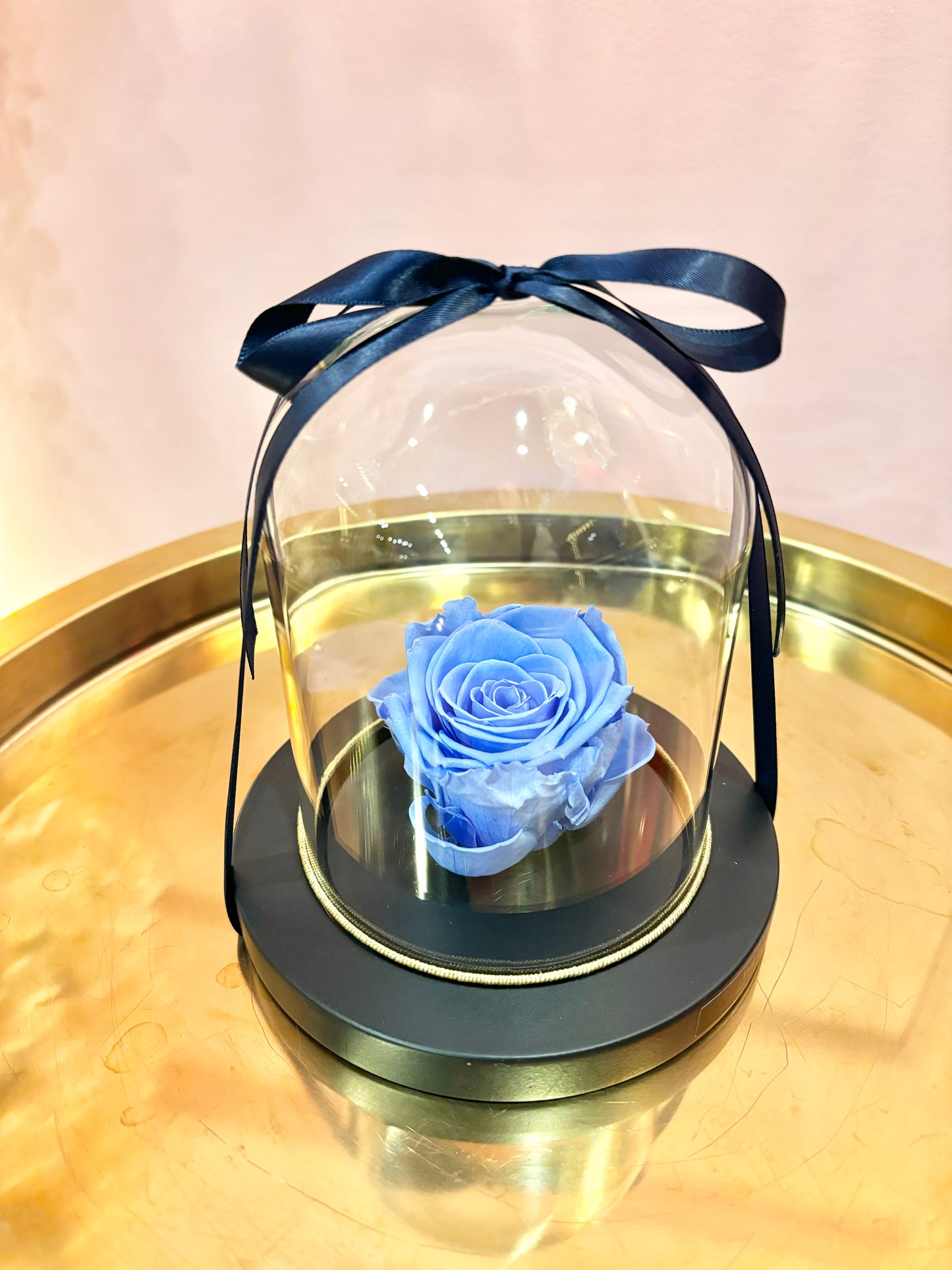 Preserved Rose Dome- Baby Blue 🩵