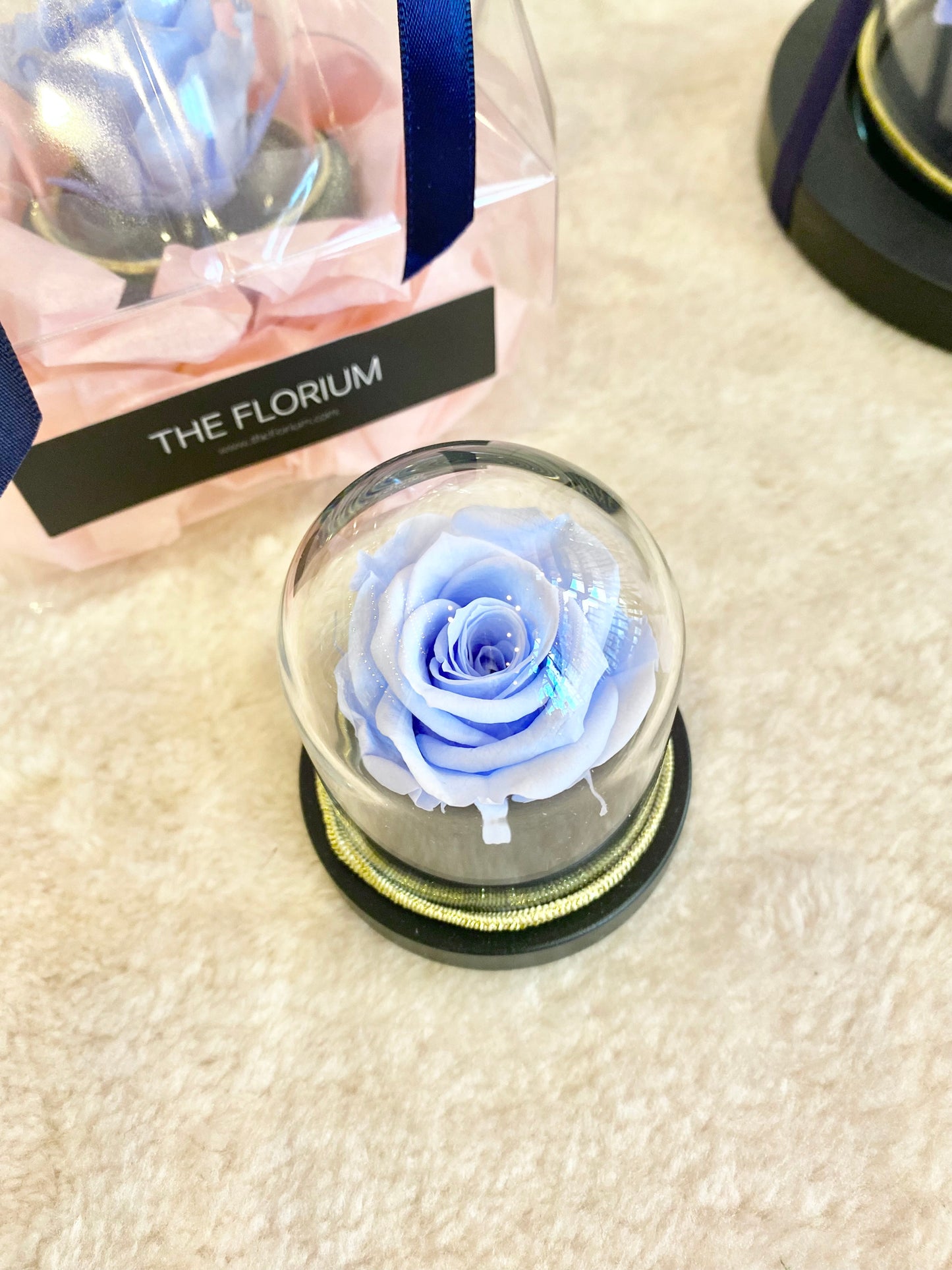 Mini preserved Rose dome- Baby Blue 🩵
