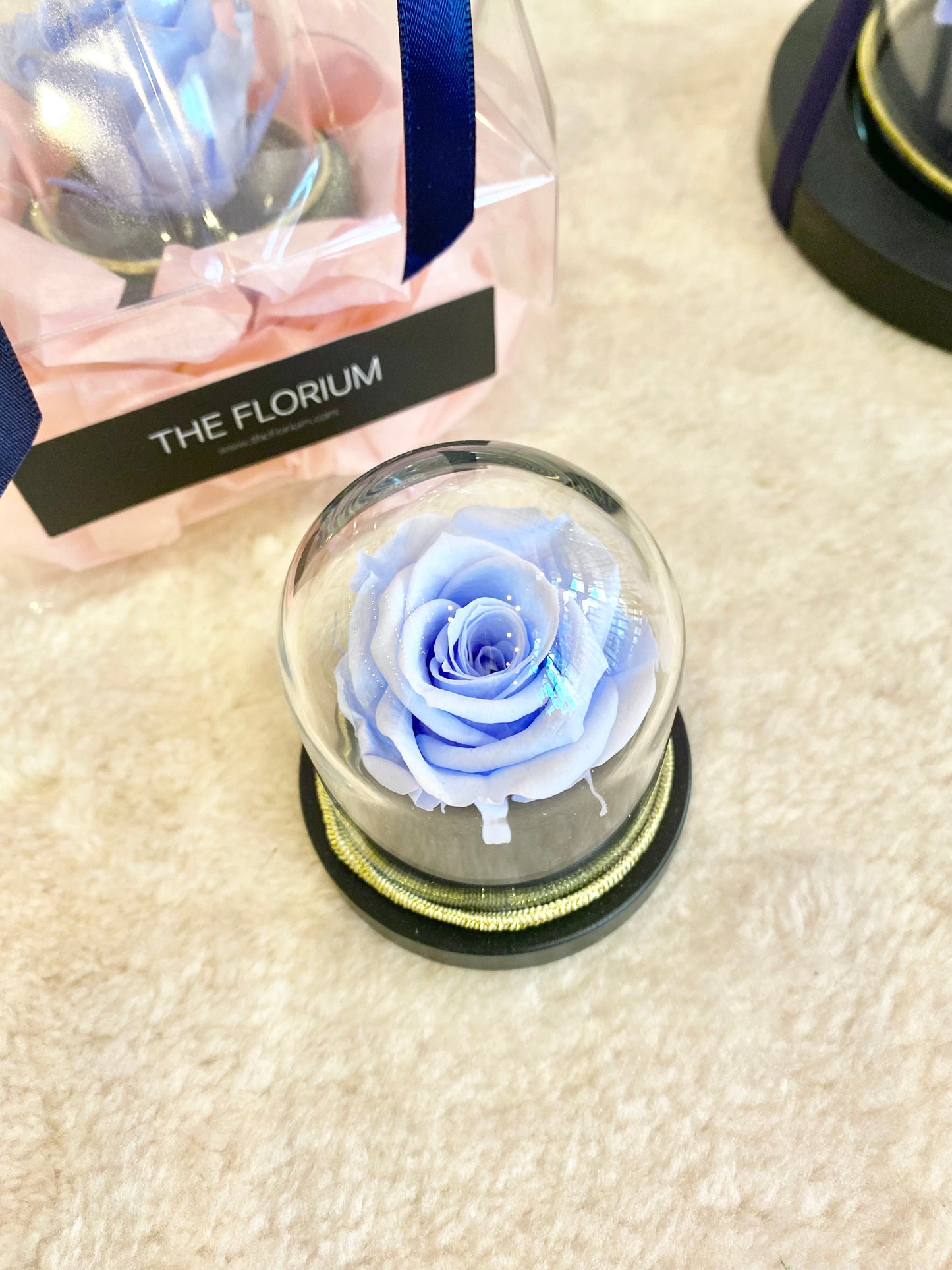 Mini preserved Rose dome- Marine Blue 💙