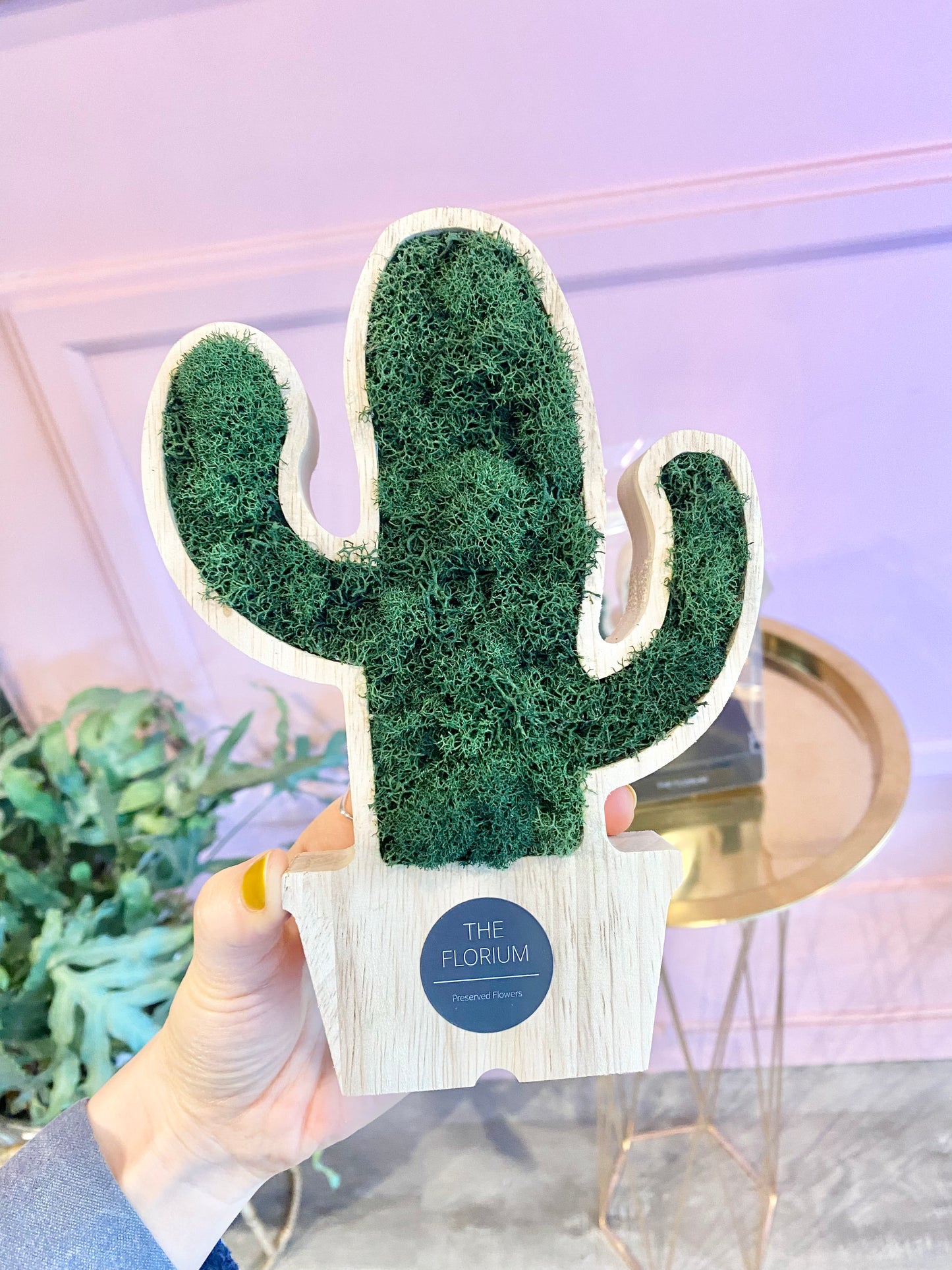 Scandinavian Moss Cactus 🌵