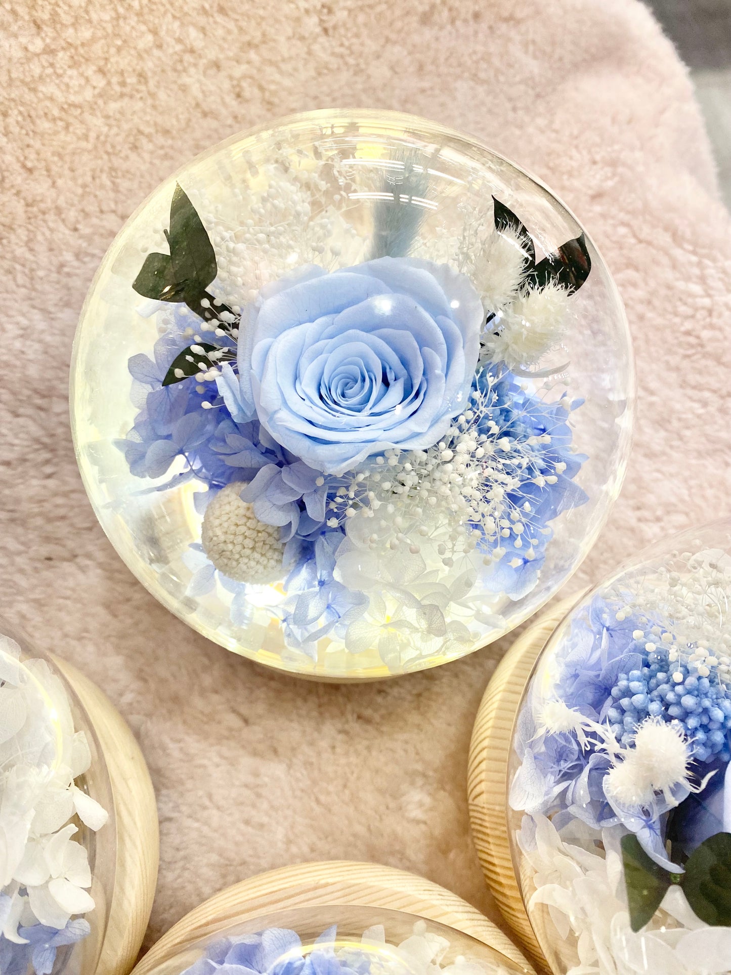 Preserved Flower Dome β Eternal Bloom | Toronto Gift
