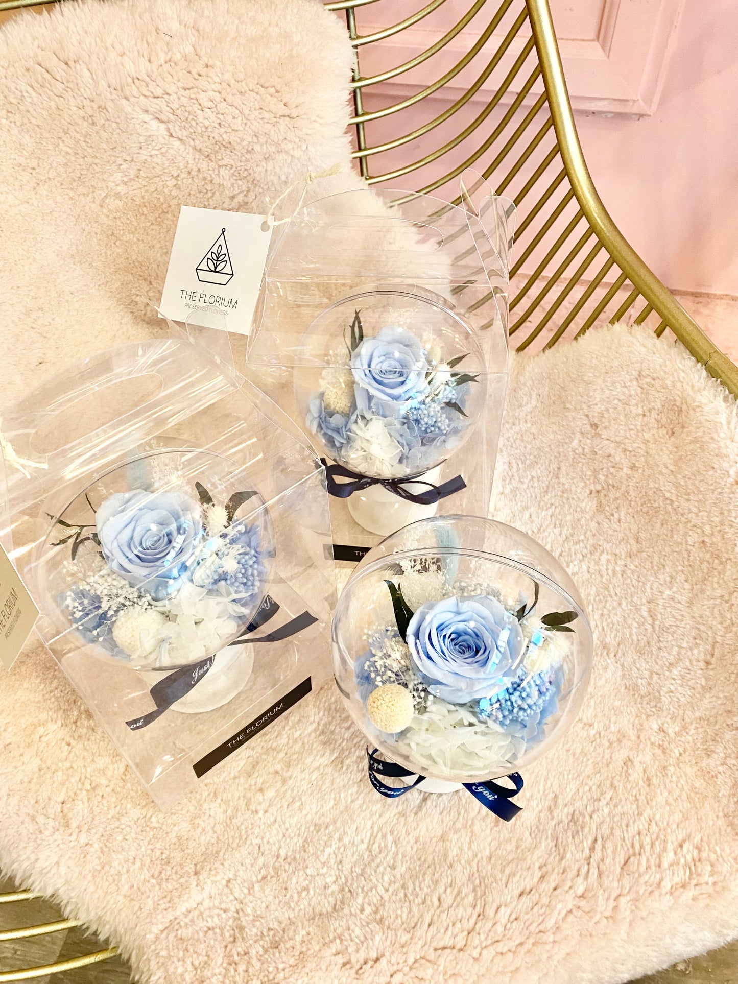Preserved Bubble Flower | Preserved Flowers Toronto