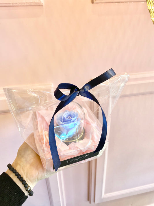 Mini preserved Rose dome- Baby Blue 🩵