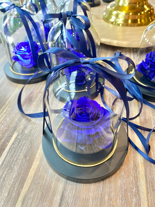 Preserved Rose Dome- Royal Blue 💙