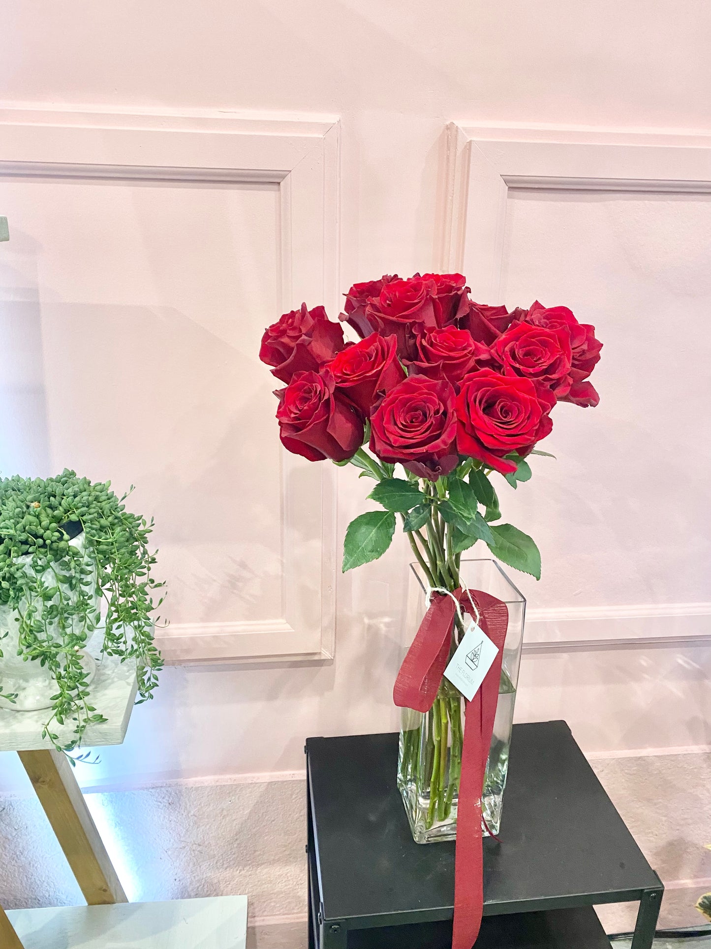 Red Fresh Roses 🌹