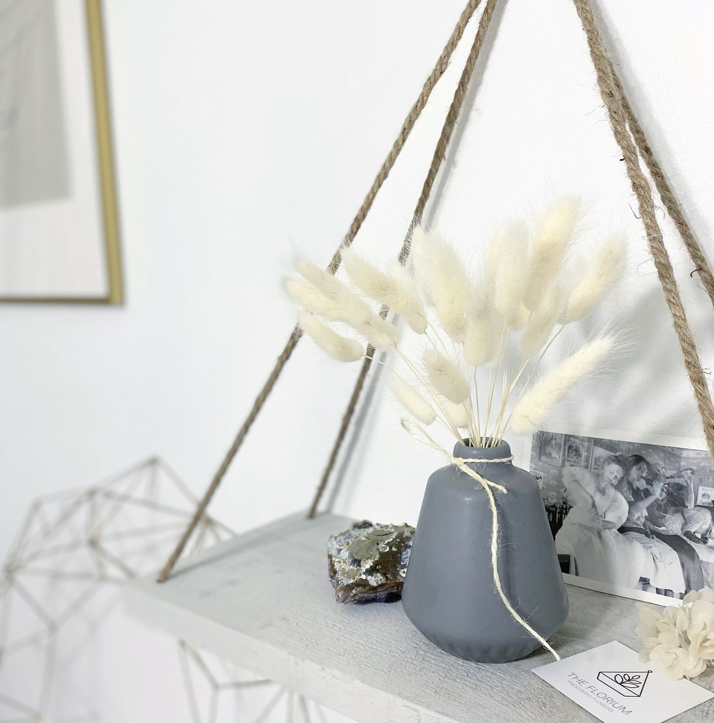 Bunny Tails in Vase