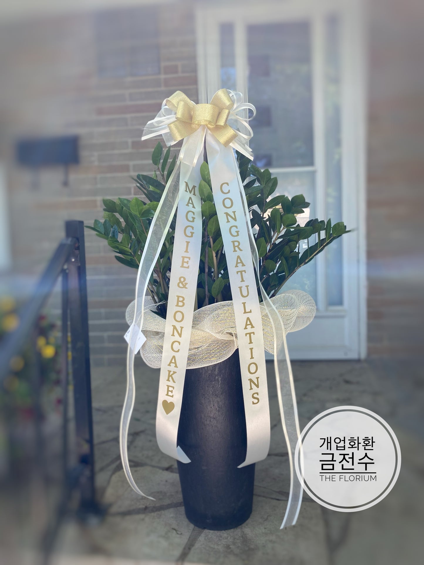 ZZ Plant with Message Ribbon š