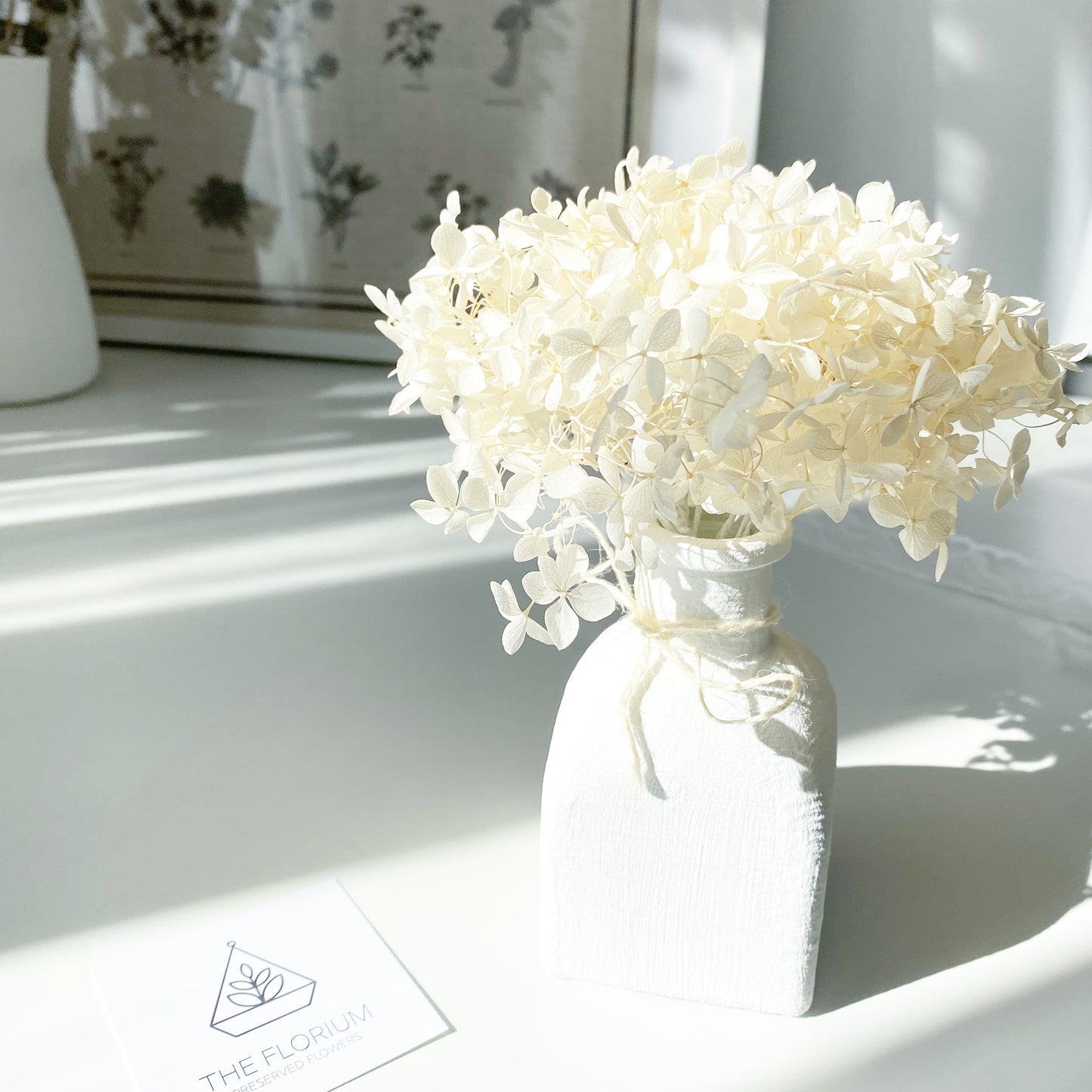 Basic Hydrangea 🤍
