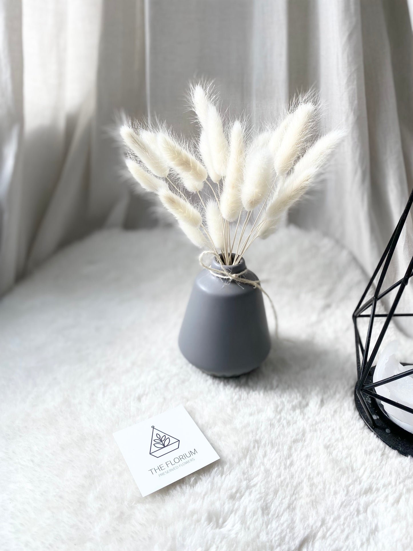 Bunny Tails in Vase