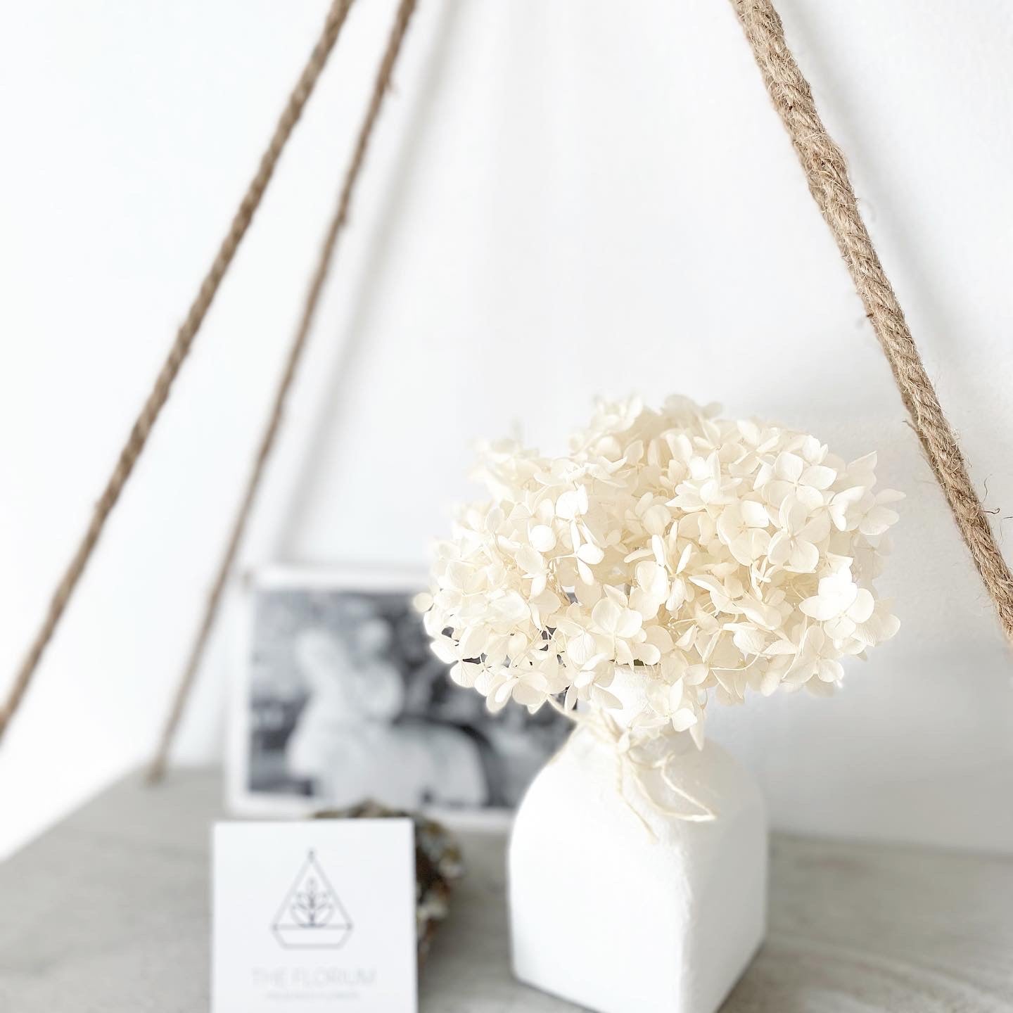 Basic Hydrangea 🤍