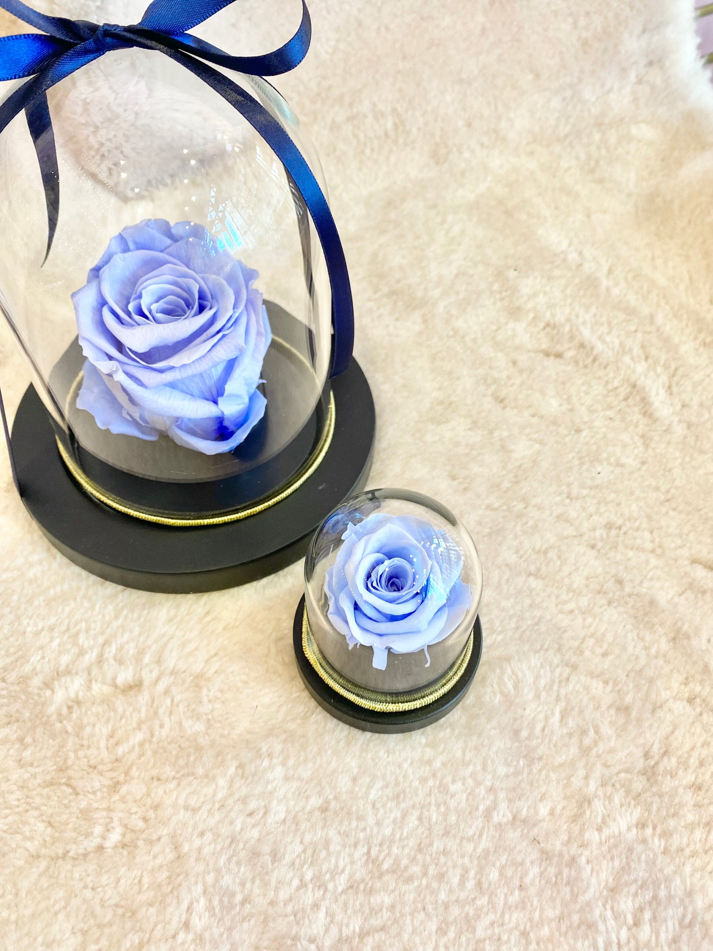 Mini preserved Rose dome- Marine Blue 💙