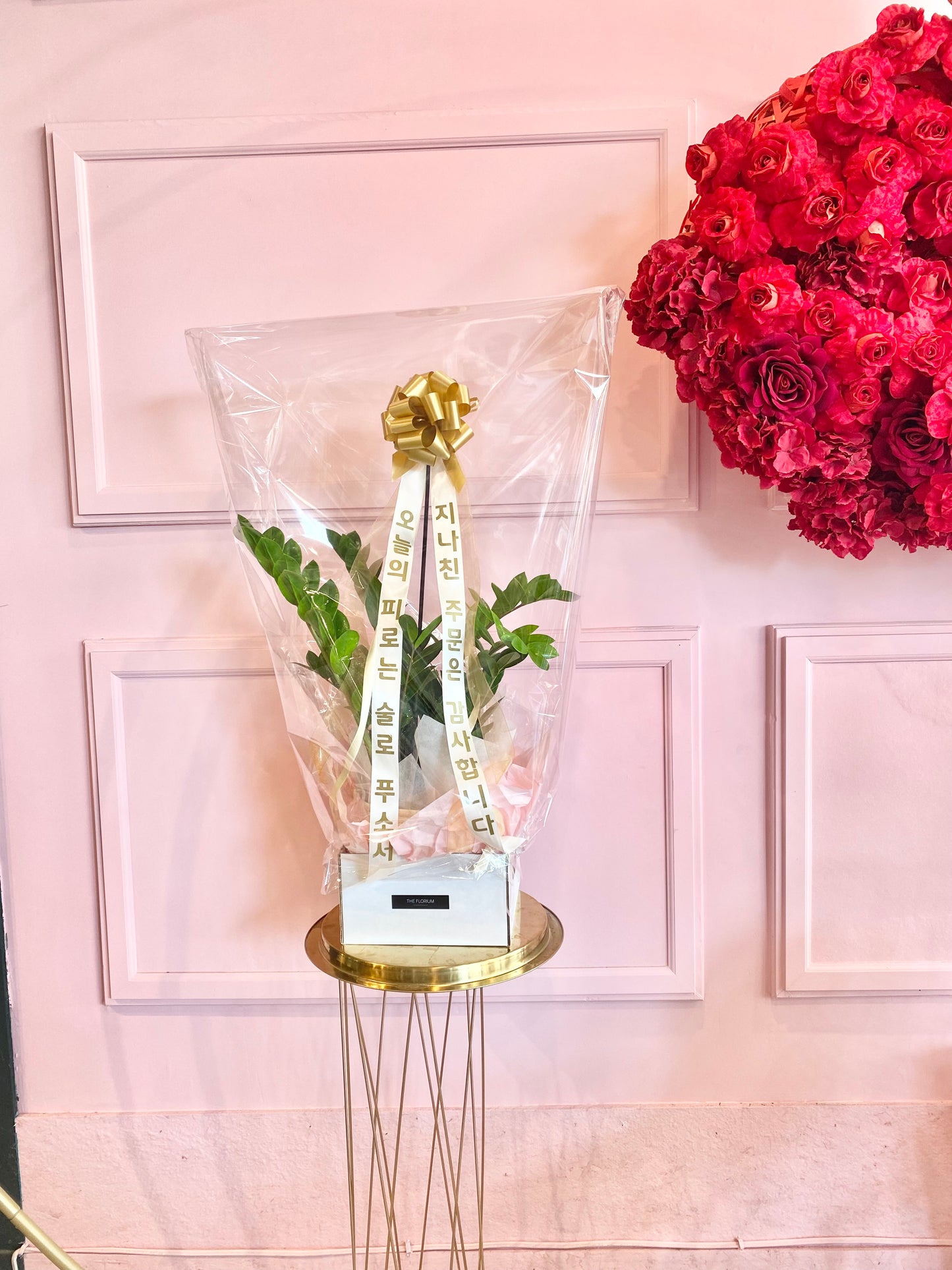 ZZ Plant with Message Ribbon | Grand Opening Gift Toronto