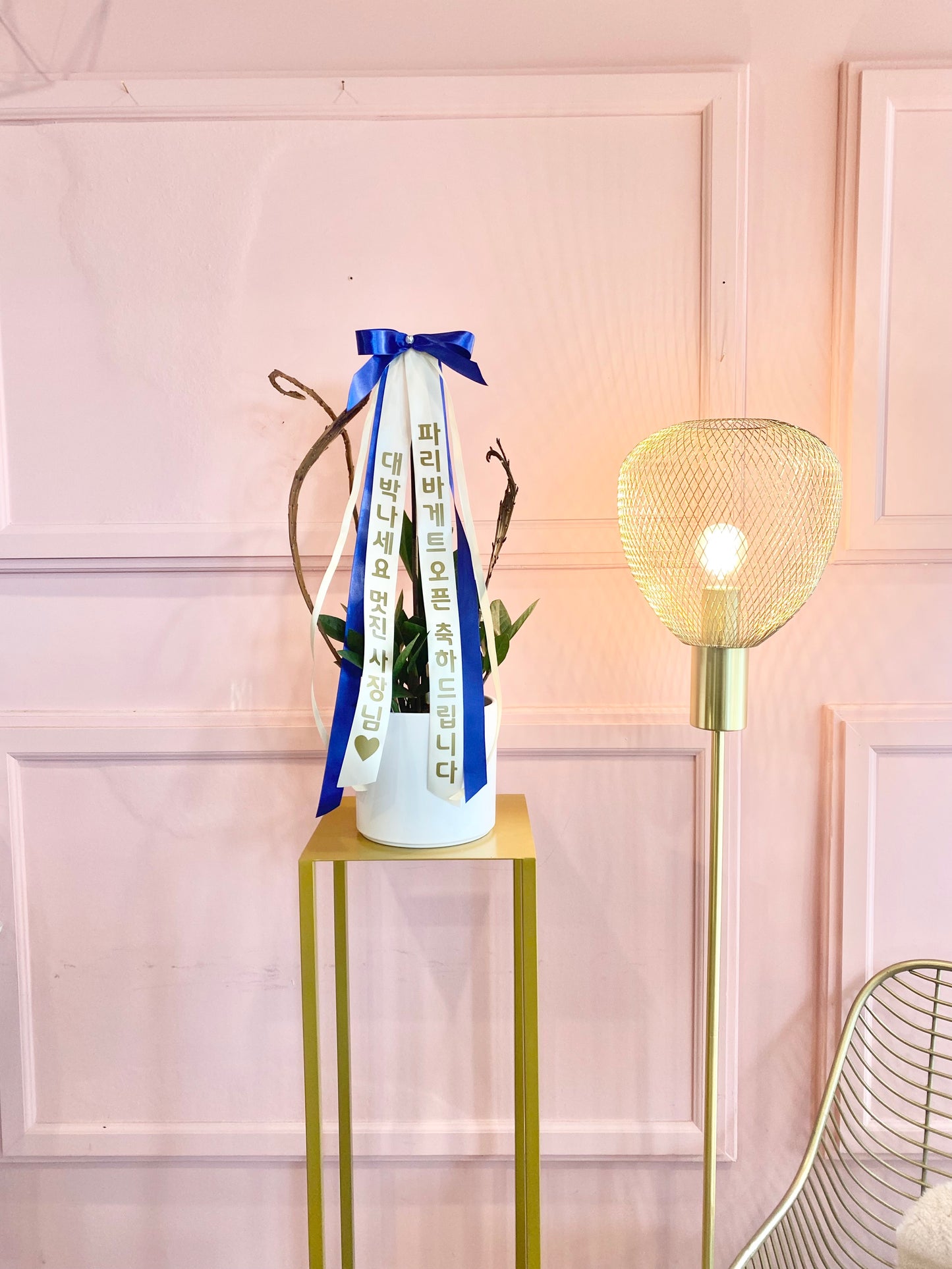 ZZ Plant with Message Ribbon | Grand Opening Gift Toronto