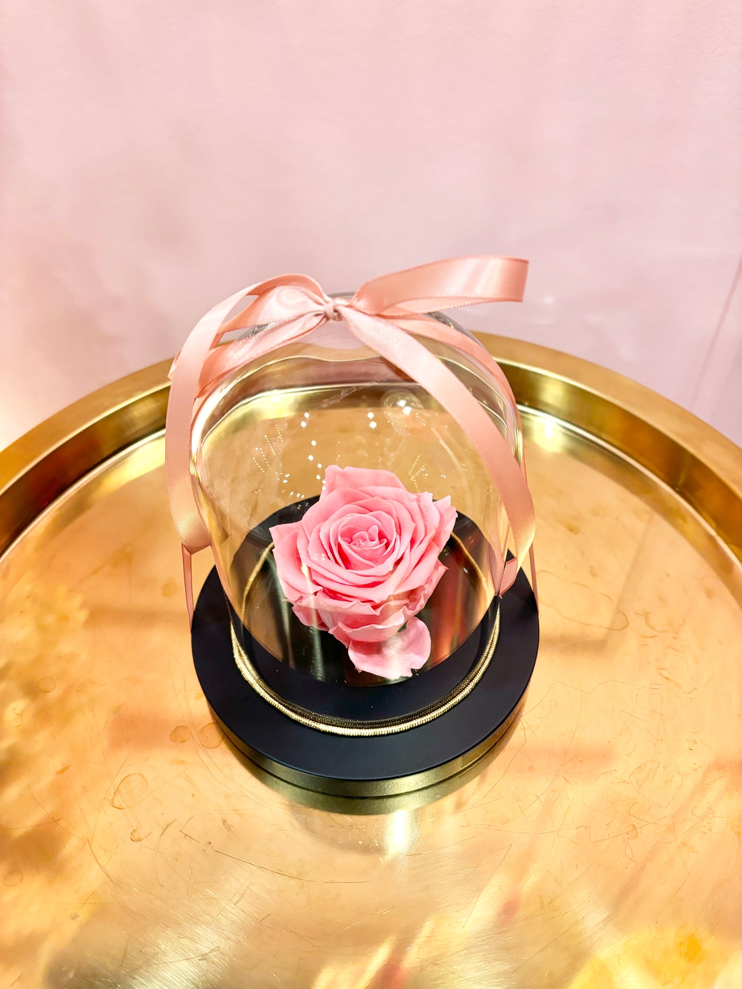 Preserved Rose Dome- Barbie Pink 🎀