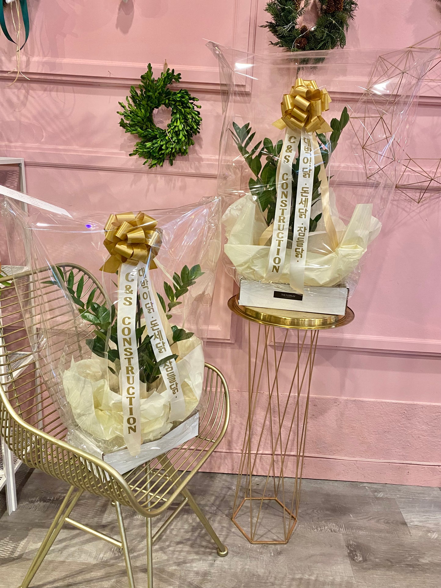 ZZ Plant with Message Ribbon | Grand Opening Gift Toronto