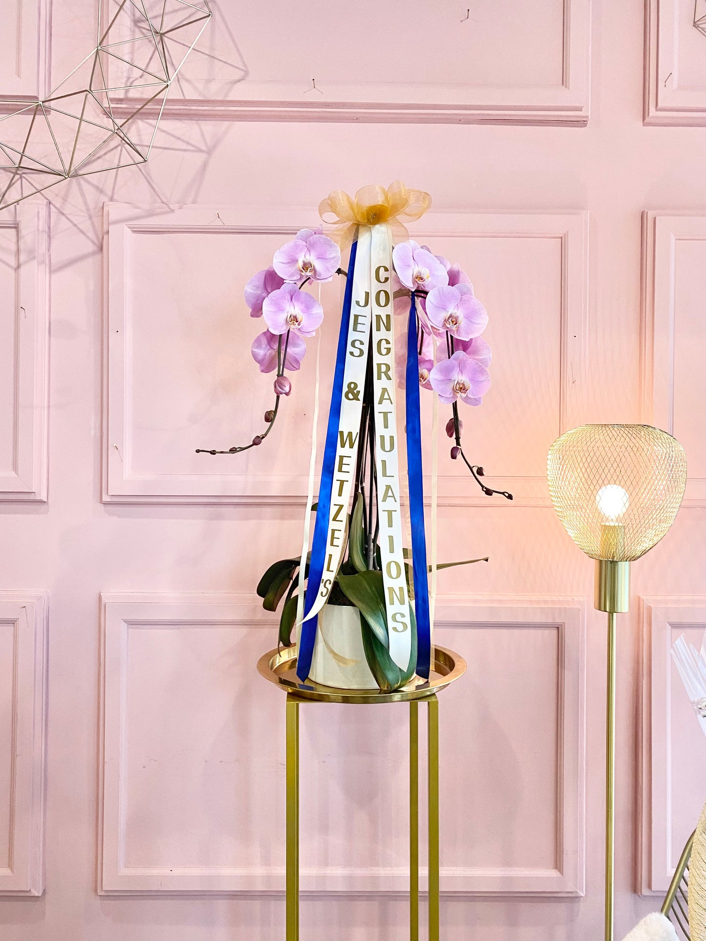 Phalaenopsis Orchid with Message Ribbon 🎀