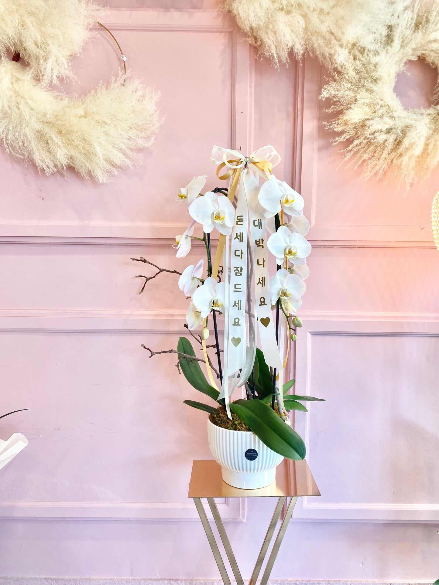 Phalaenopsis Orchid with Message Ribbon 🎀