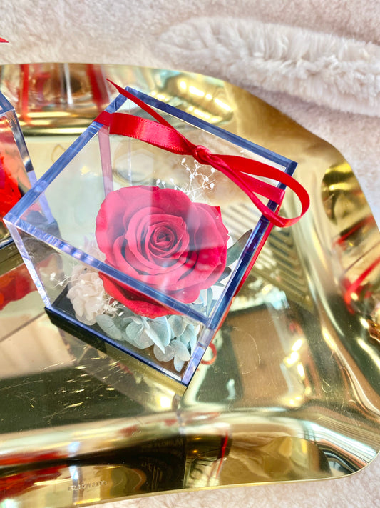 Eternal Archive - Passion Red