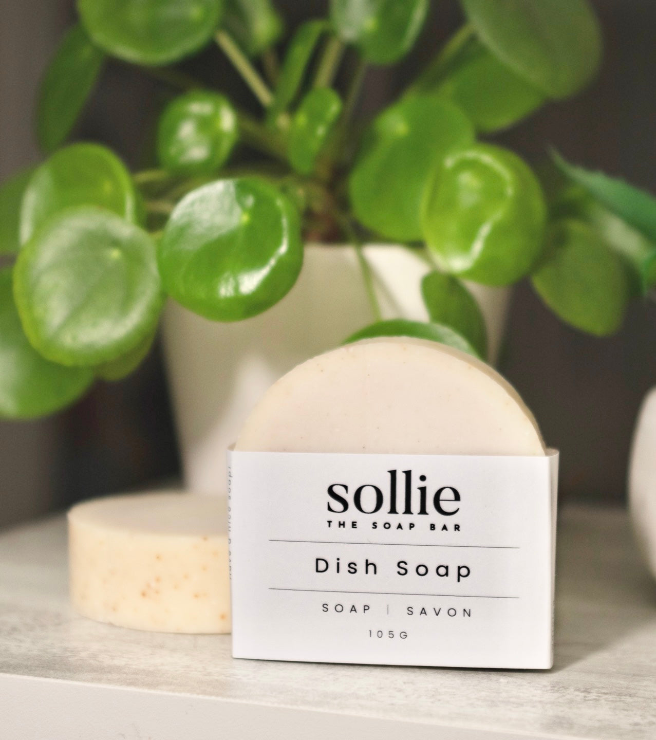 Sollie Soap - Dish Soap 🧼