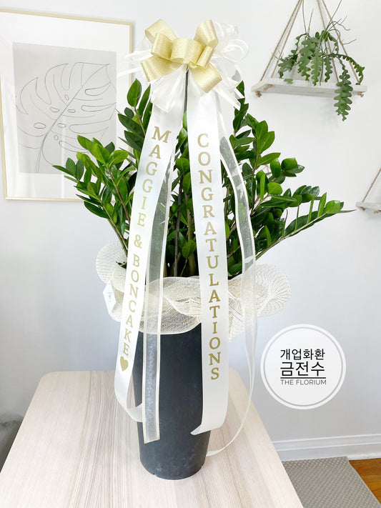 ZZ Plant with Message Ribbon π