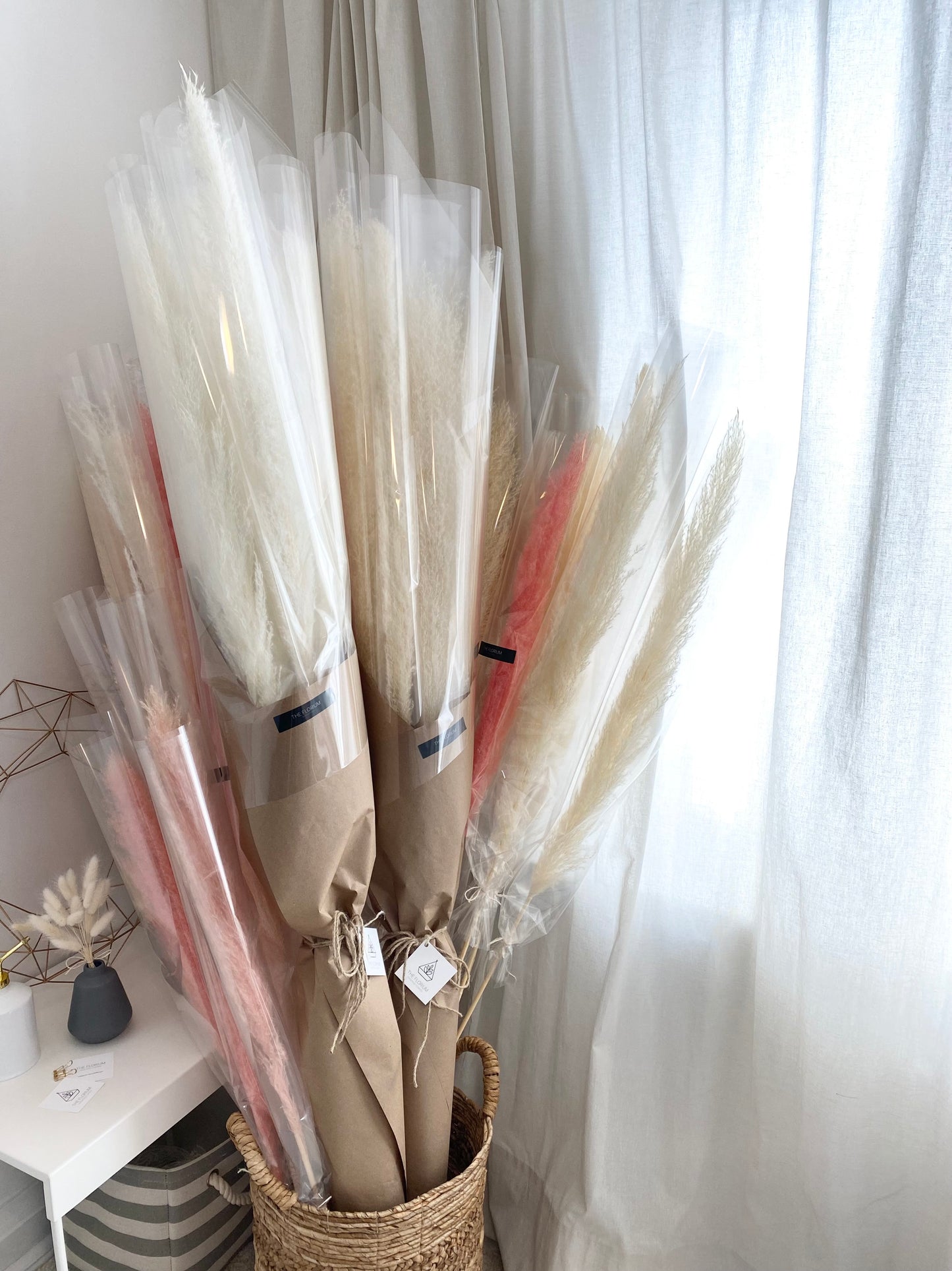 Pampas Grass