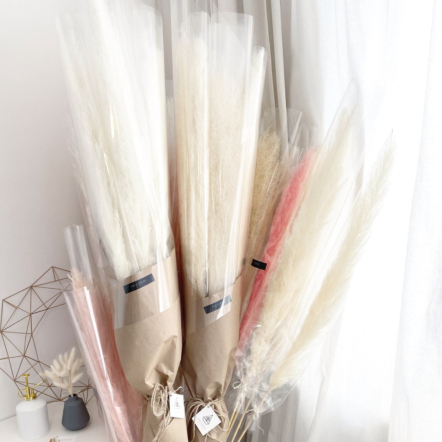 Pampas Grass